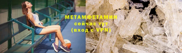 прущие грибы Аркадак