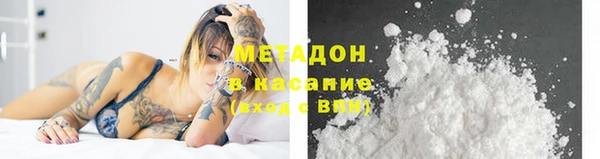 прущие грибы Аркадак