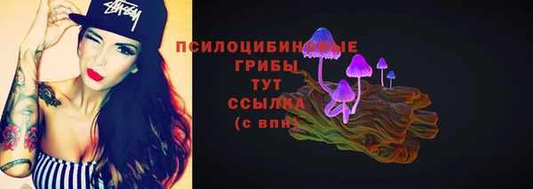 прущие грибы Аркадак