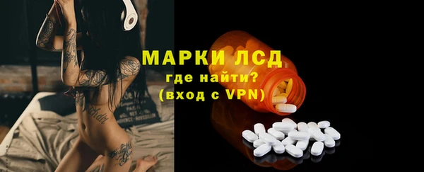 прущие грибы Аркадак