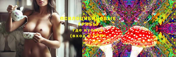 прущие грибы Аркадак
