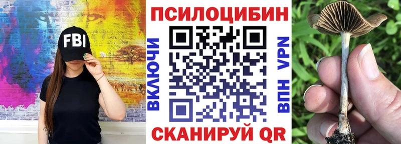 shop клад  закладки  Тетюши  Псилоцибиновые грибы прущие грибы 